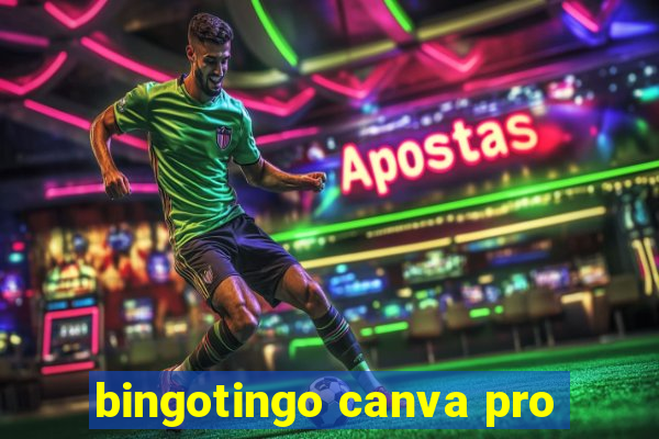 bingotingo canva pro